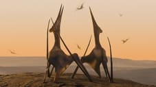  2 Desiertos