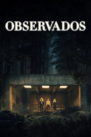 Observados (2024)