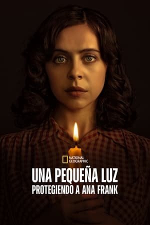 A Small Light (2023)