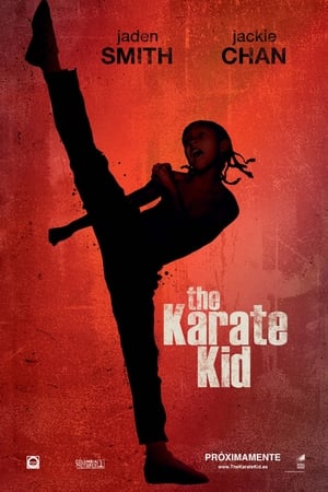 Karate Kid (2010)